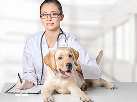 veterinario-menu-farmaciaanimales