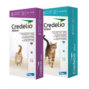 CREDELIO GATOS