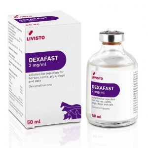 DEXAFAST 2 mg/ml SOLUCION INYECTABLE